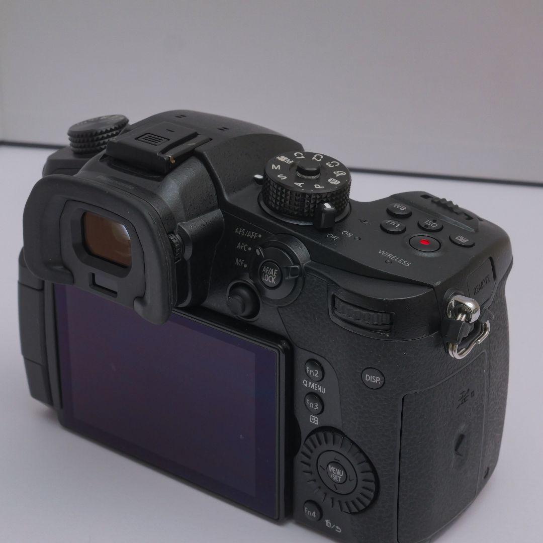 lumix gh5　v-logアップデート済み　ストロボセット