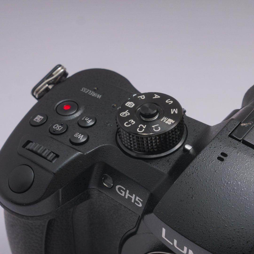 lumix gh5　v-logアップデート済み　ストロボセット