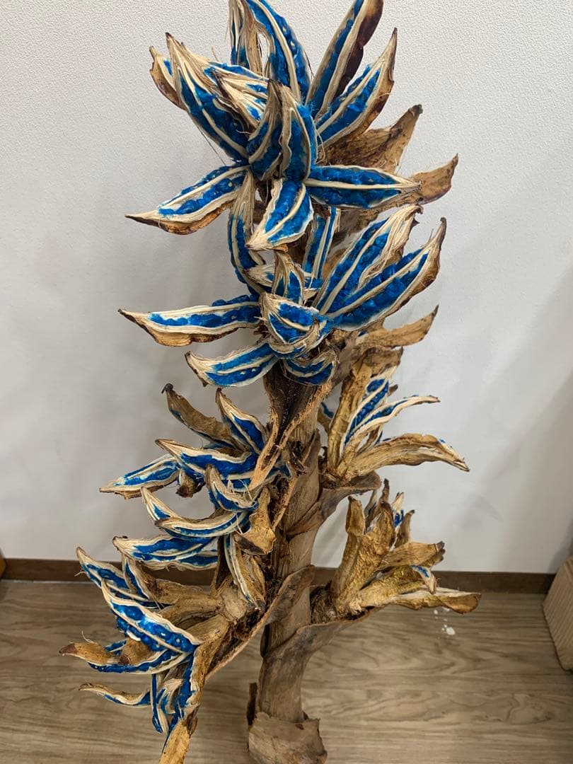 旅人の木特大茎長め　A級品８節