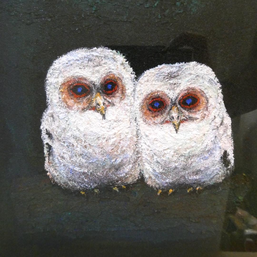 【梟】　【多田博一】 油彩 額付き 一枚の繪 不苦労 絵画 中古