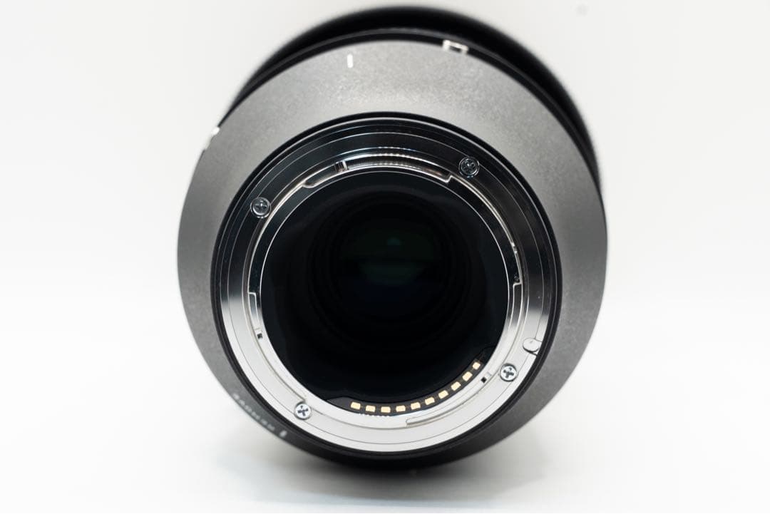 【Rたん】SIGMA100-400mm f5-6.3 DG DN OS