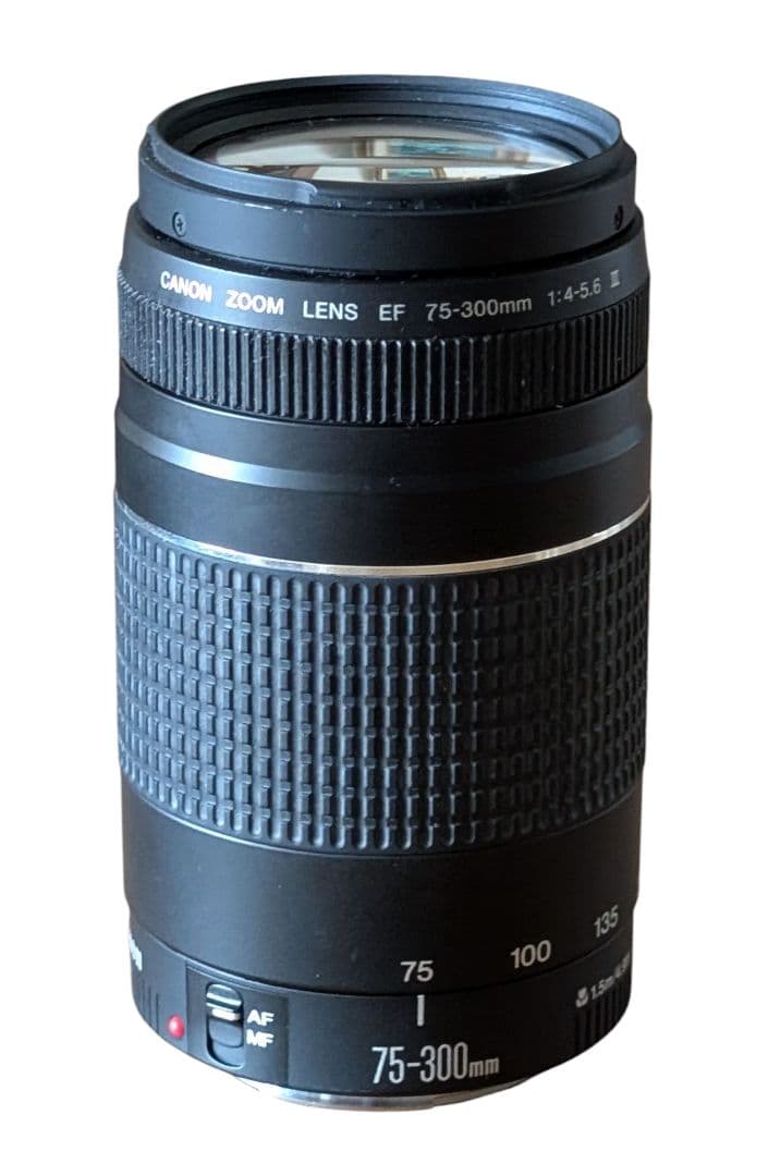 Canon キャノン EF 75-300/4-5.6 III ズームレンズ