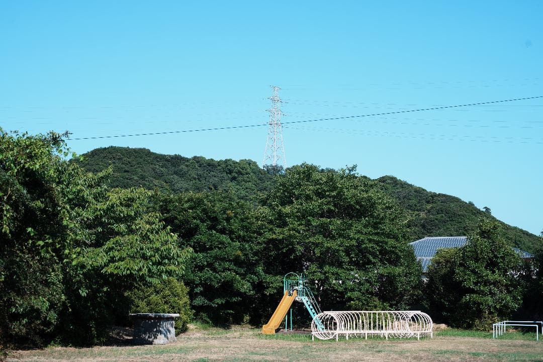 【整備＆テスト済】Nikon Ai Nikkor 50mm F1.4 247