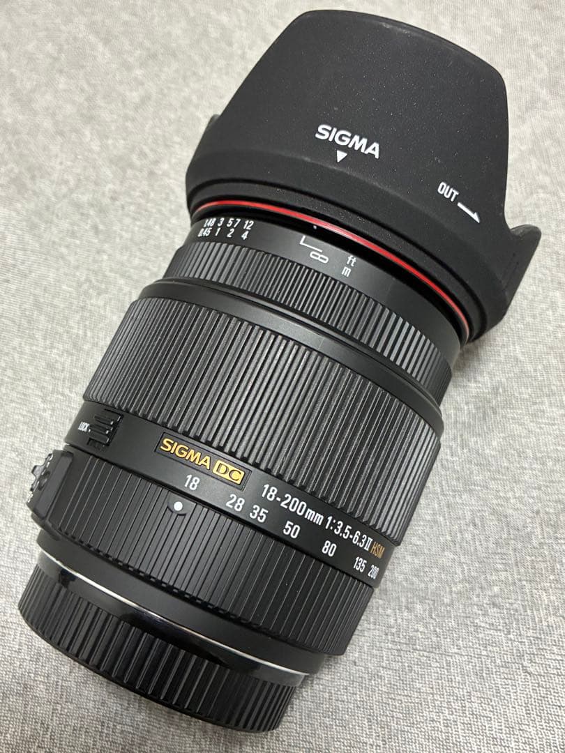 ⭐️美品⭐️SIGMA 18-200mm 3.5-6.3 II HSM ソニー用
