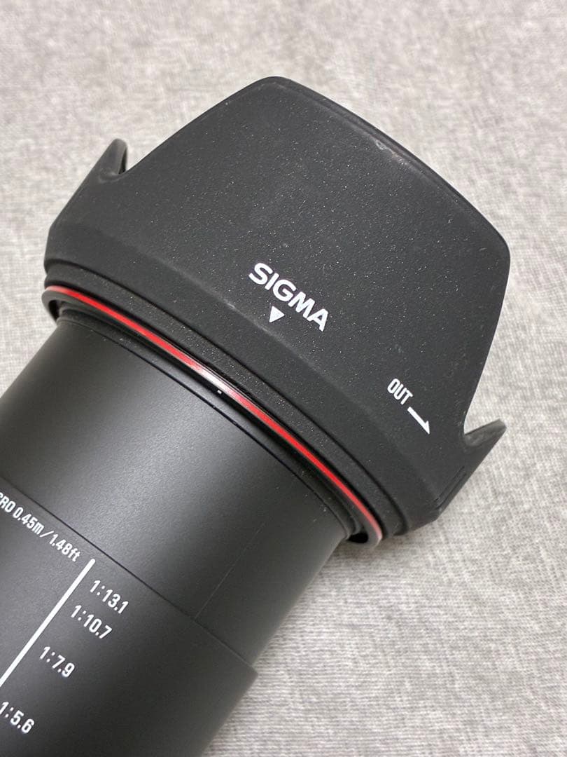 ⭐️美品⭐️SIGMA 18-200mm 3.5-6.3 II HSM ソニー用