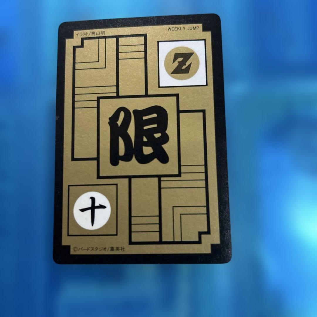 ドラゴンボール　カードダス めちゃんこプロジェクト　Ⅹ 孫悟飯