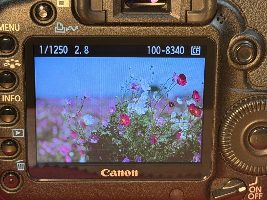 Canon EOS 5D Mark II 【13188回】