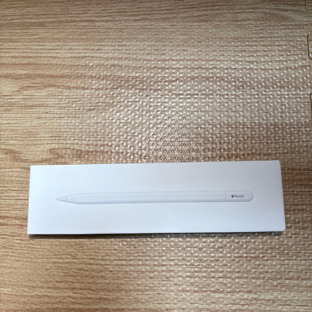 iPadアクセサリー rio Apple Pencil (USB-C)