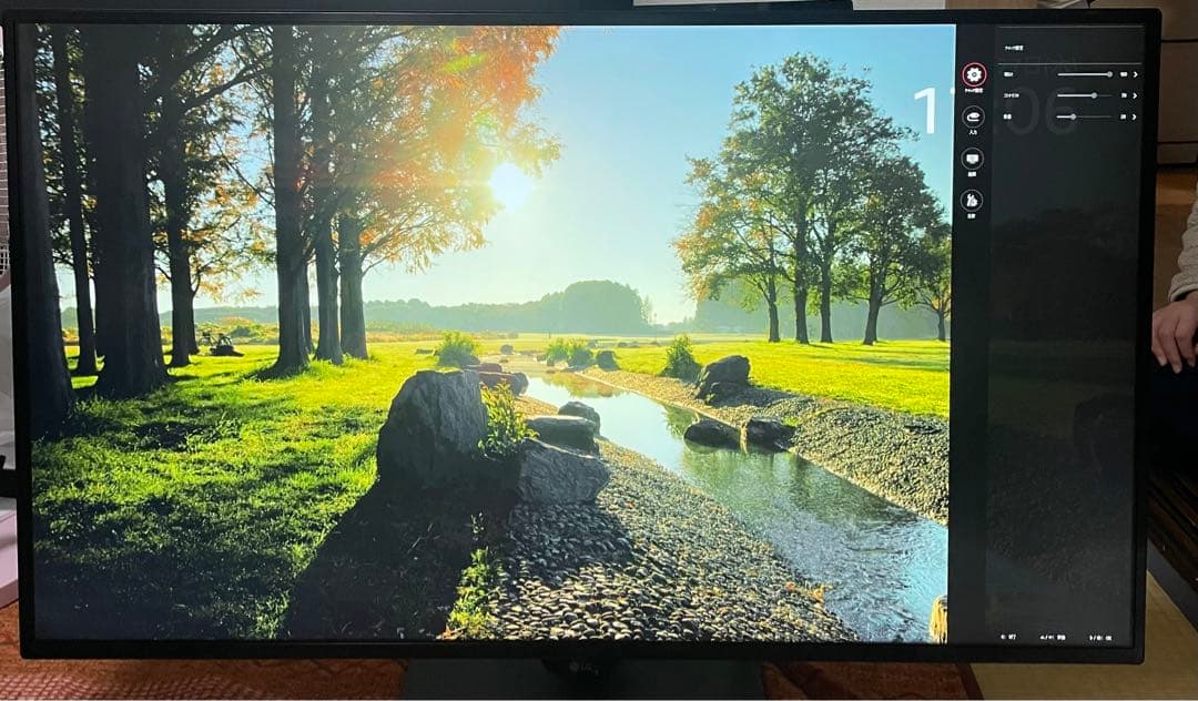 LG 大型42.5インチ 4K IPSモニター 43UD79-B