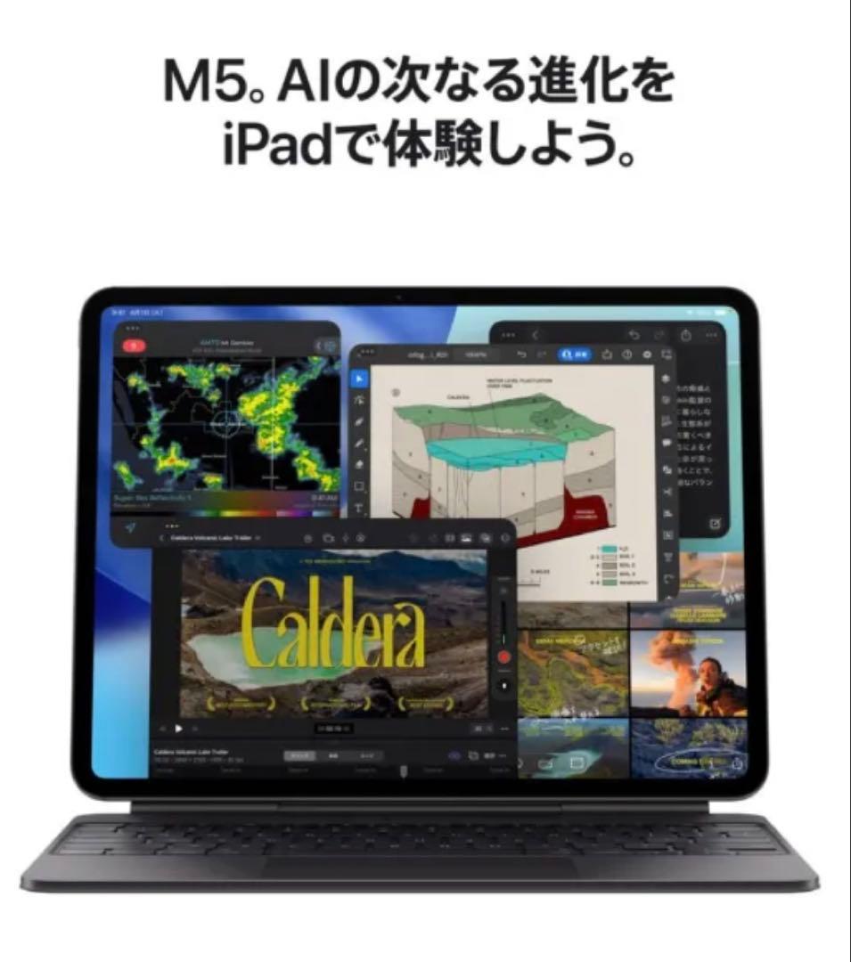 iPad Pro M5 11インチWi-Fiモデル 256GB スペースブラック