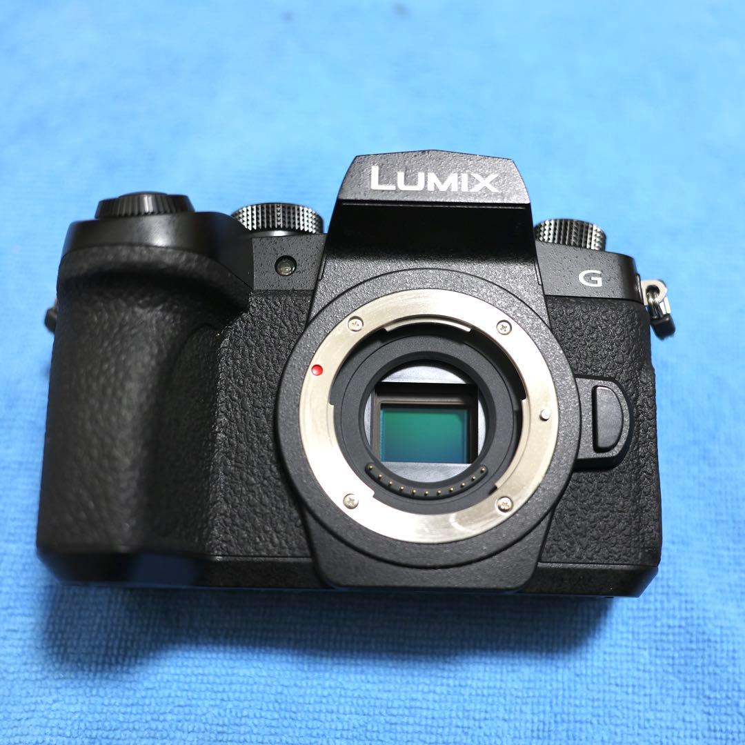 LUMIX G99 ミラーレスカメラ ボディ