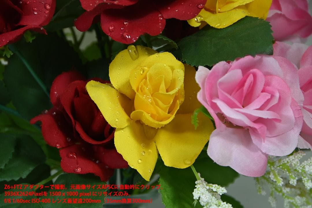 ニコン DX AFS 18-200mm 1/3.5-5.6G ED VR レンズ