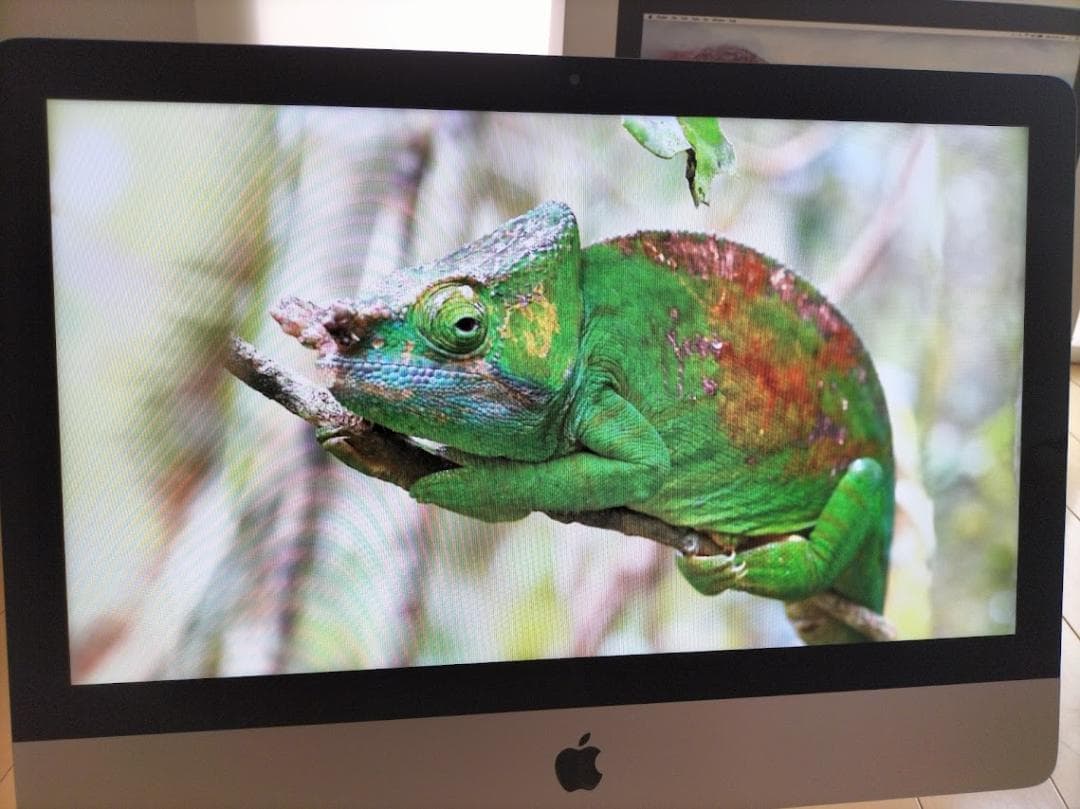 Macデスクトップ iMAC 2015 21.5