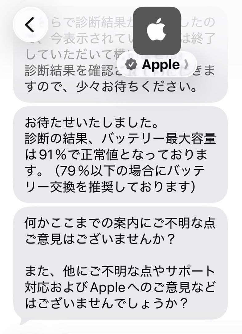 iPad Pro 第一世代 11インチ 256GB