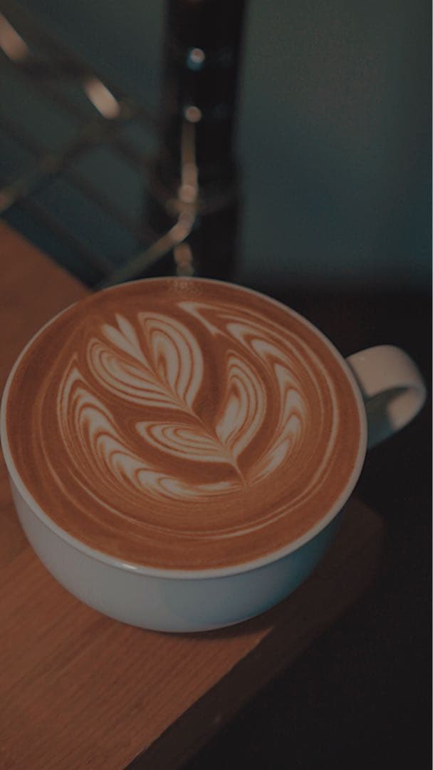 Gaggia Classic evo proエスプレッソマシン