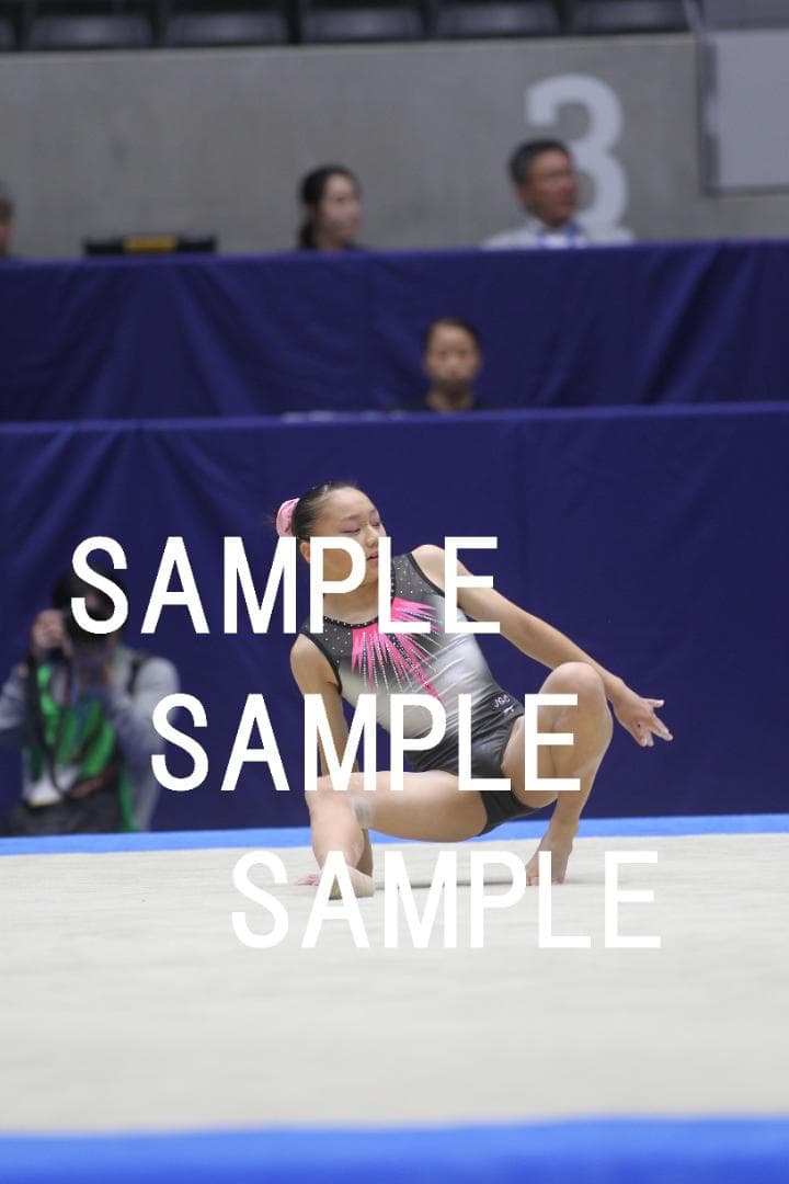★9/15まで値引★日本女子体操選手画像集(2019年) 約82,500枚