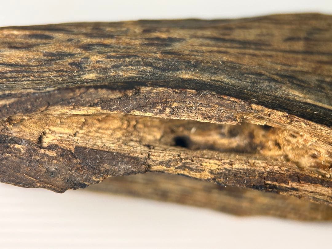 お香 天然沈香 六国五味聞香用 伽羅 香木 4-S-9.137