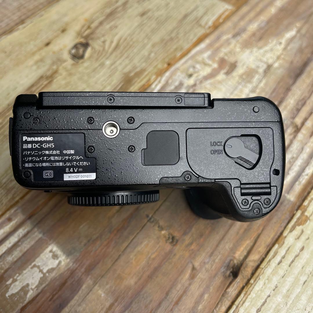 【美品】Panasonic LUMIX GH5 ボディ本体＋SDカード2枚付き
