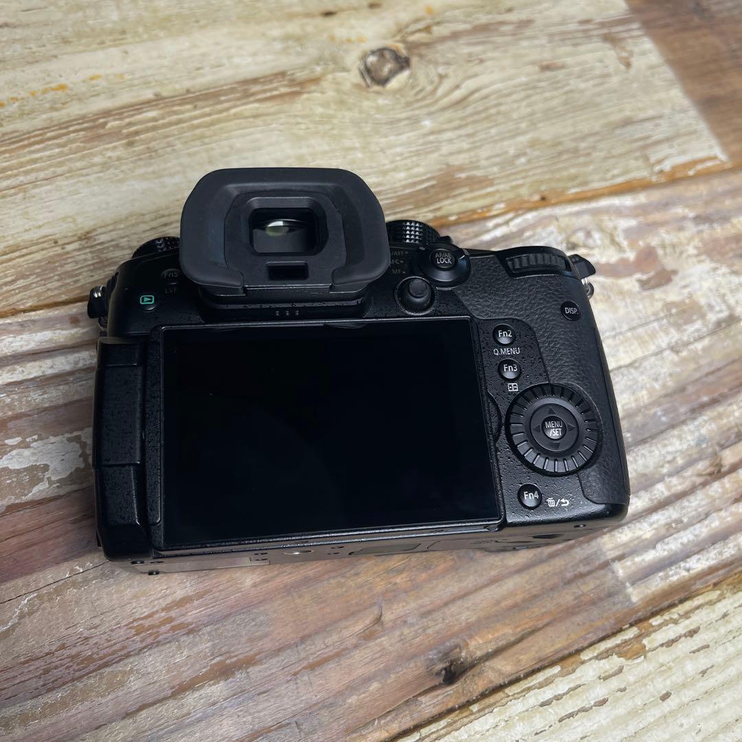 【美品】Panasonic LUMIX GH5 ボディ本体＋SDカード2枚付き