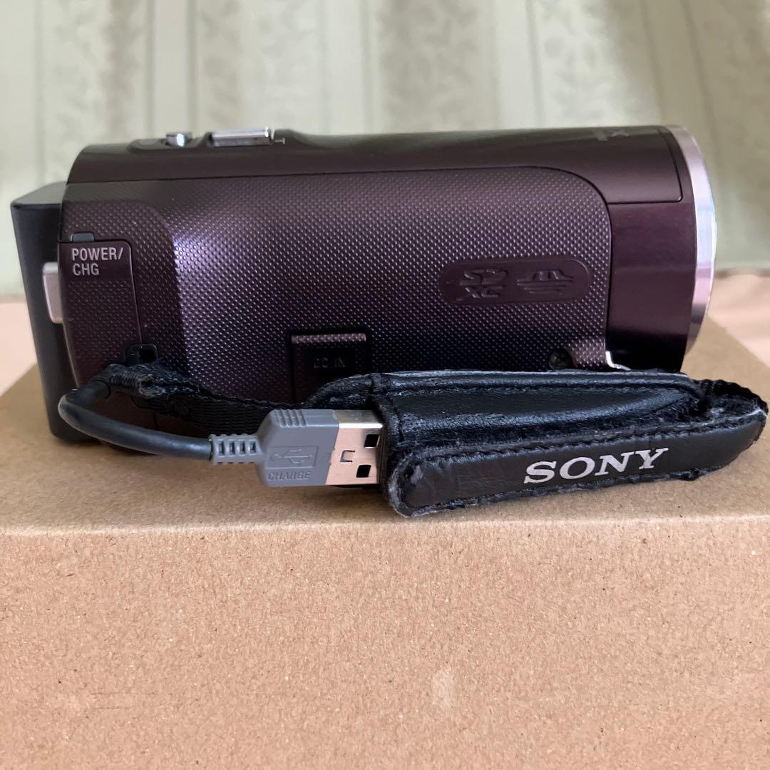 ソニーハンデイカムHDR-PJ390