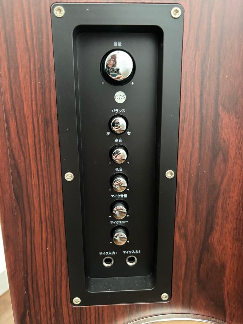 美品 FUZE スピーカー　FUZE TSX230BT2