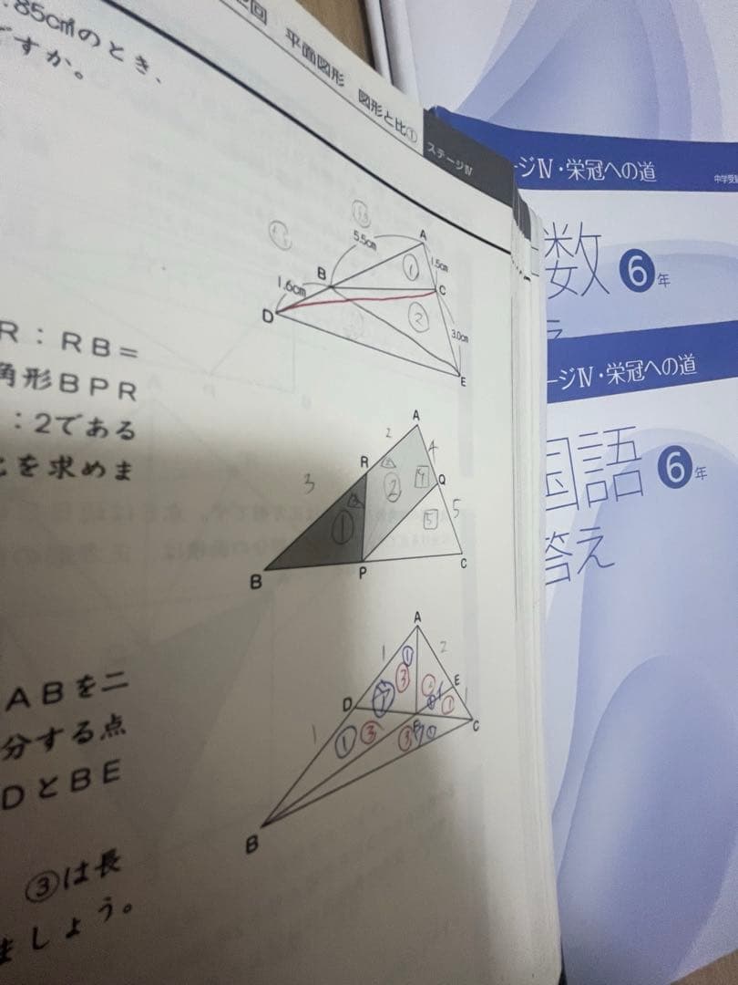 日能研　6年生　テキスト全部