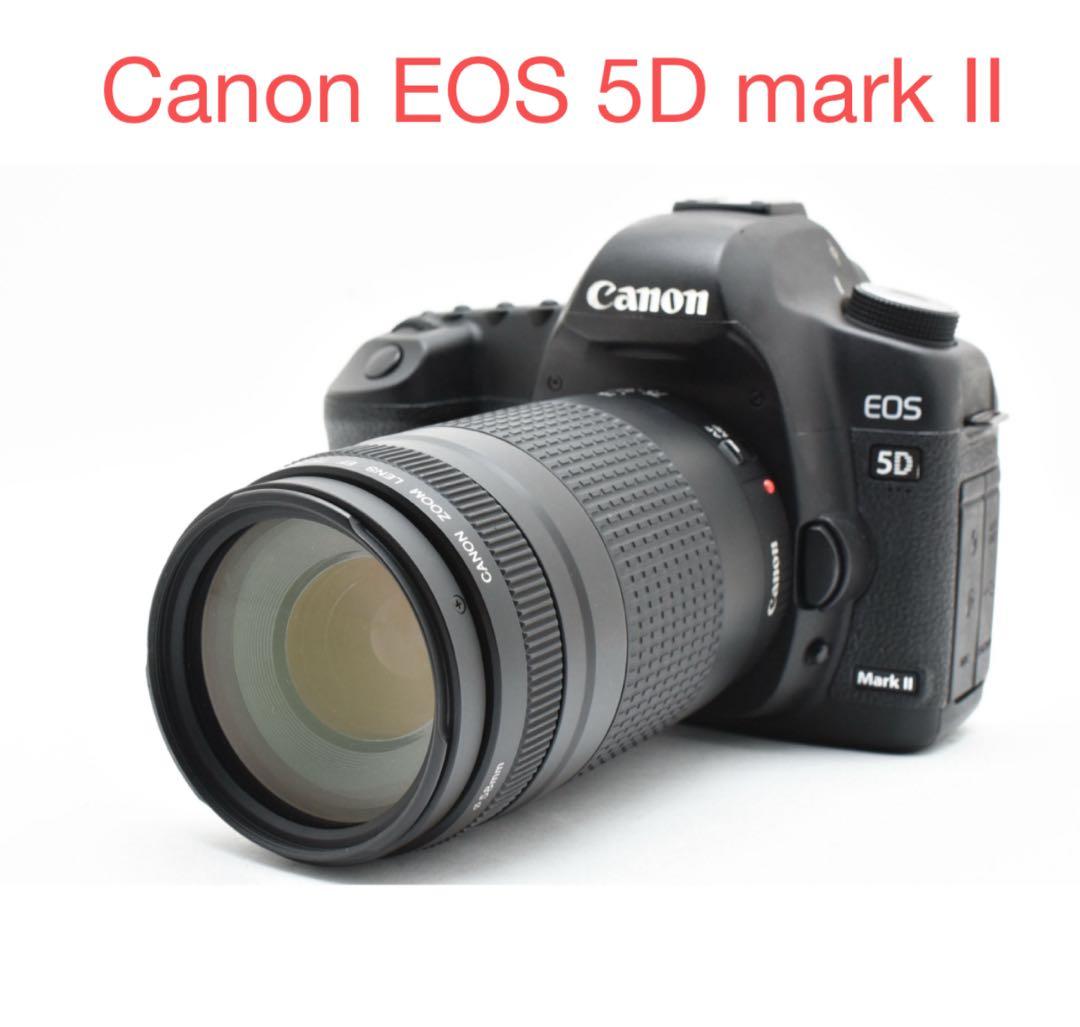 デジタル一眼レフカメラ Canon EOS 5D mark II望遠レンズセット