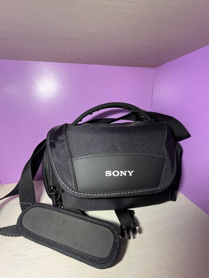 SONY 4K FDR-AX55 ビデオカメラ 本体•バッグ