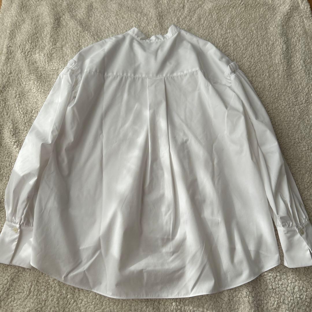 未使用　セオリーリュクスVALENTINE SHIRTフリル 白38 ブラウス