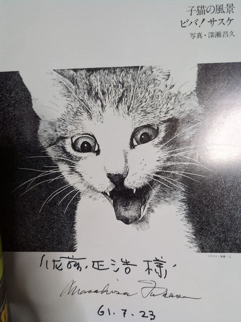 ビバ！サスケ 猫の写真集 深瀬昌久