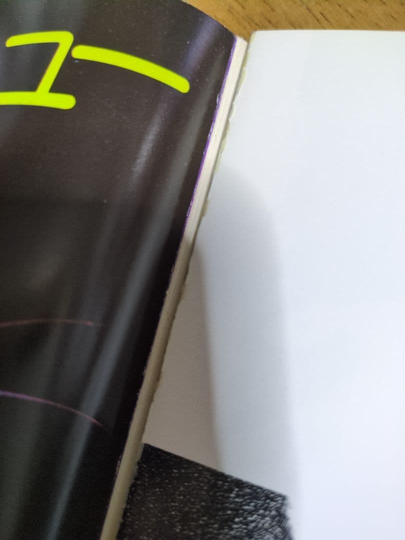 ビバ！サスケ 猫の写真集 深瀬昌久