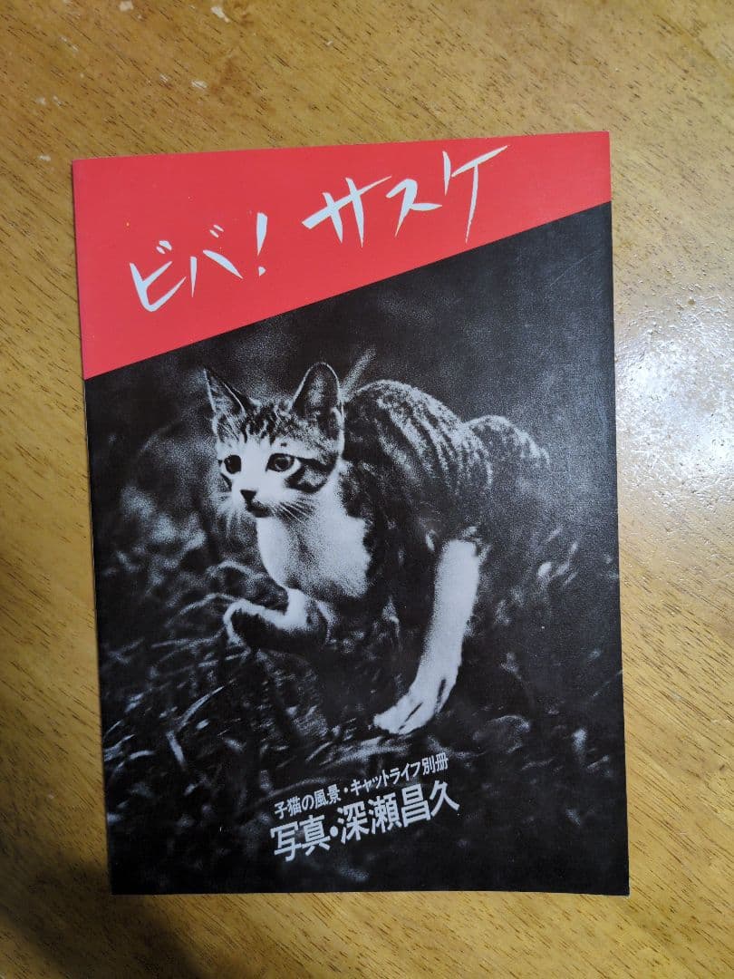 ビバ！サスケ 猫の写真集 深瀬昌久