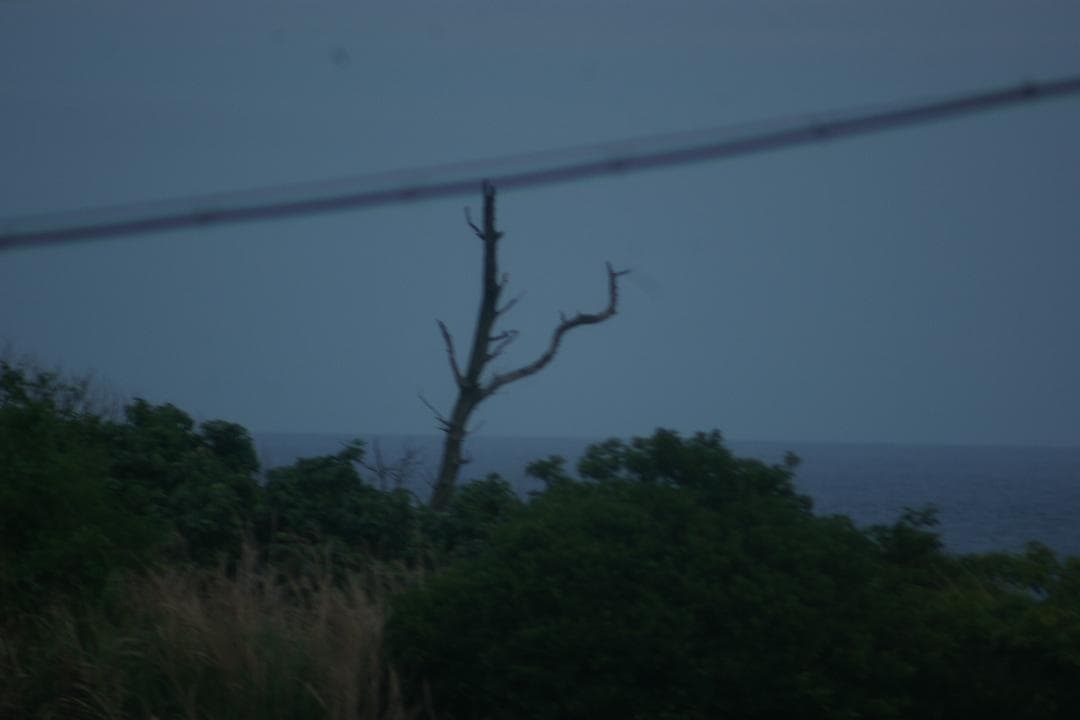 シグマ　AF　ｆ＝400mmLENS中古動作品の出品です。