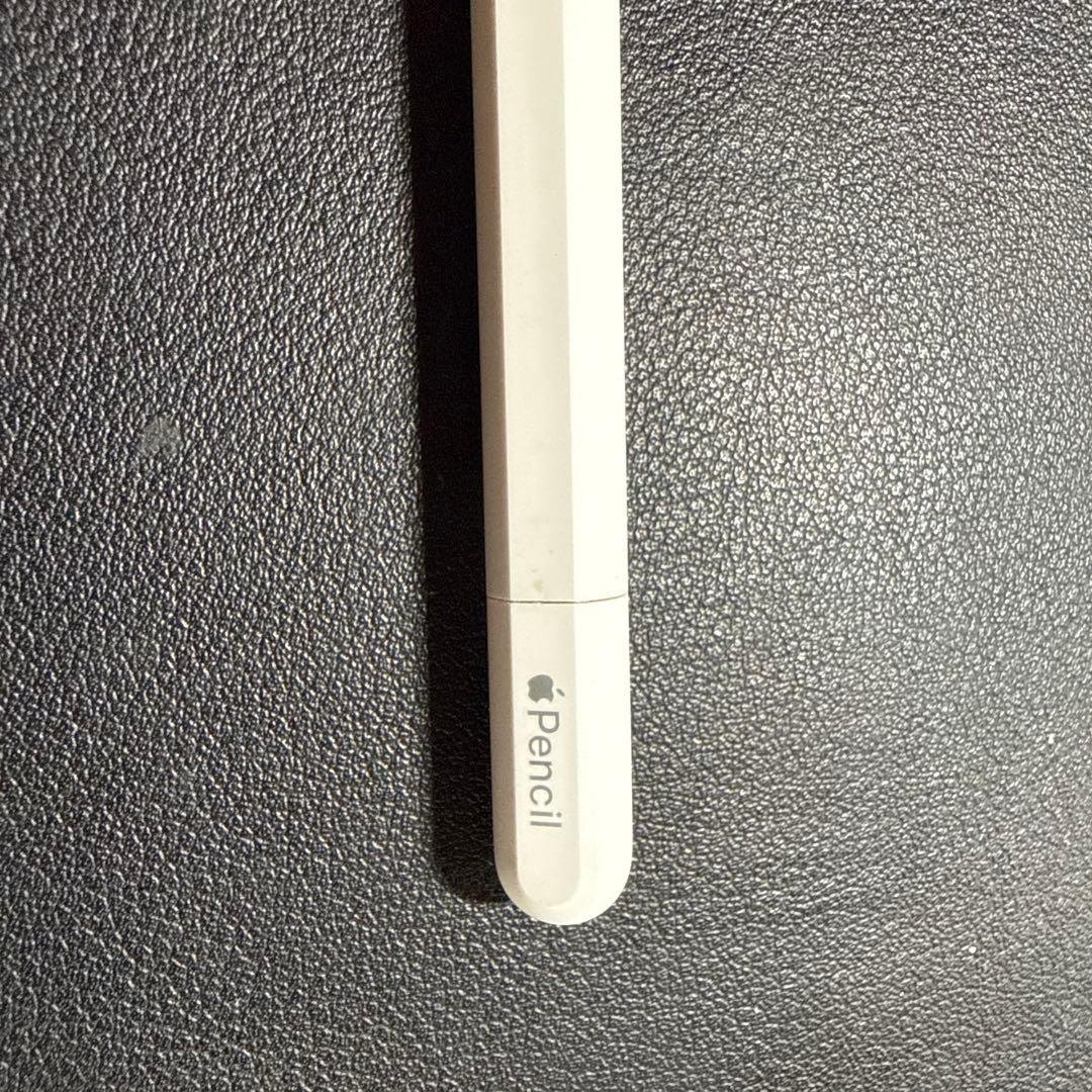 Apple store購入⭐︎Apple Pencil typec 新品同様