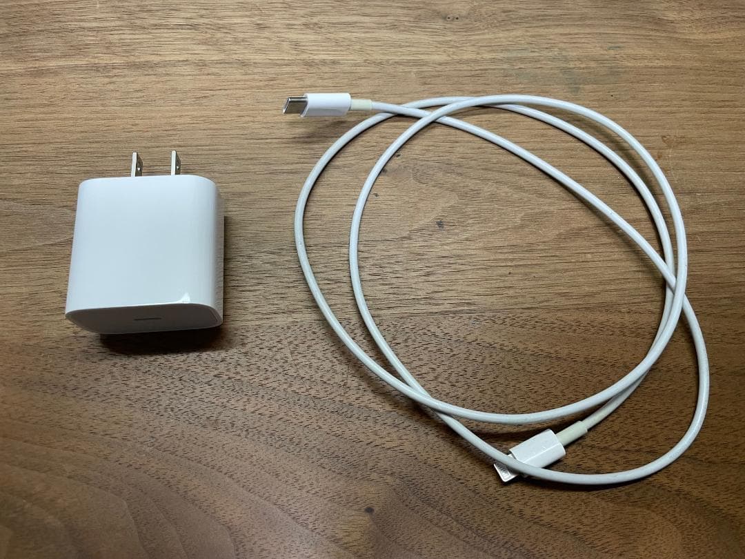 iPad Pro 10.5インチ 256GB + Apple Pencilセット