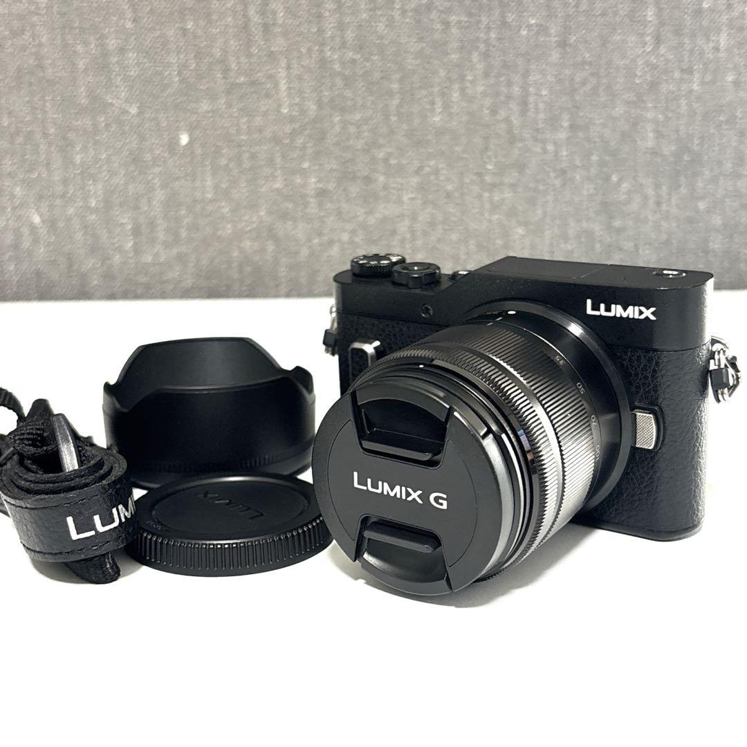 【美品】Panasonic LUMIX DC-GF10 付属品 レンズセット