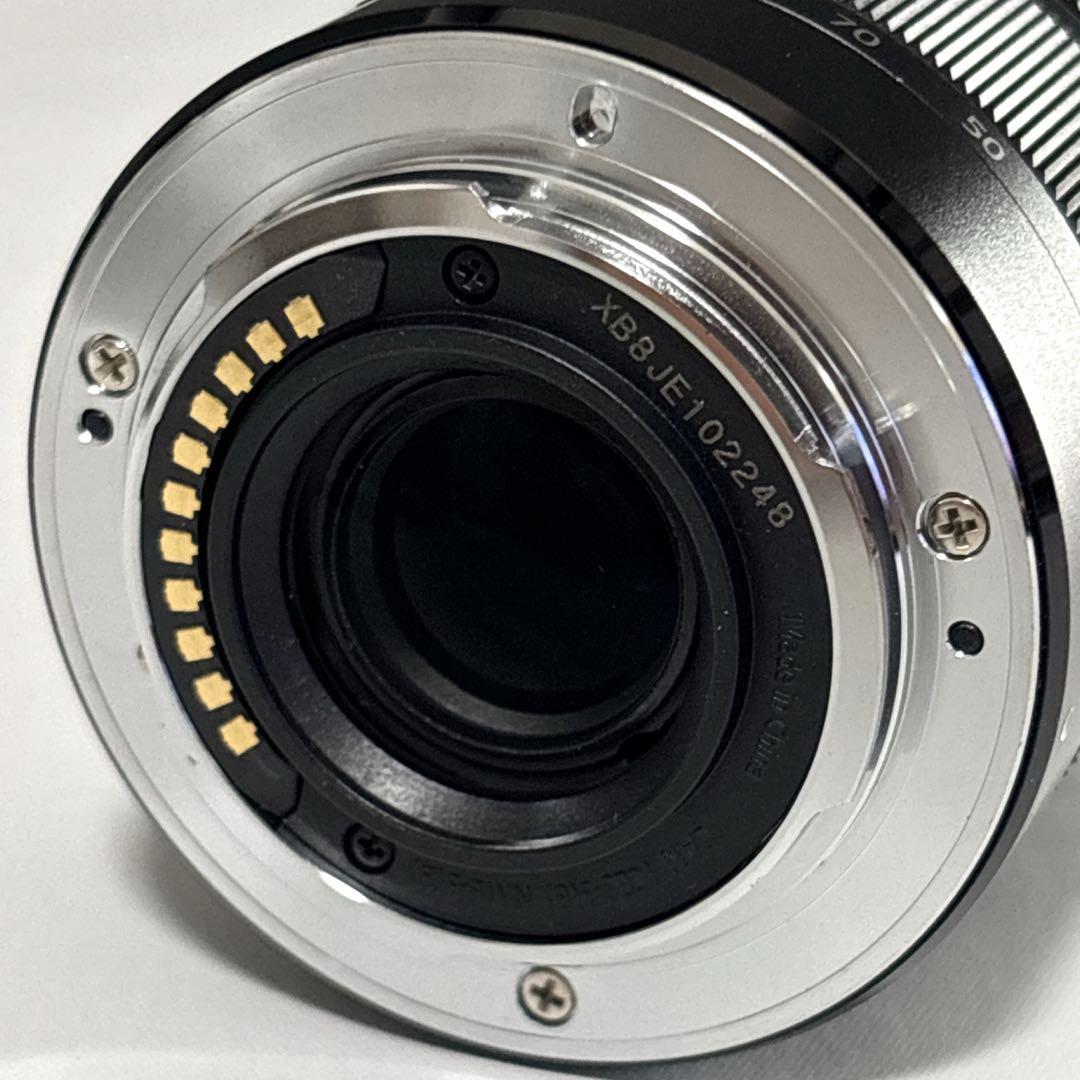 【美品】Panasonic LUMIX DC-GF10 付属品 レンズセット