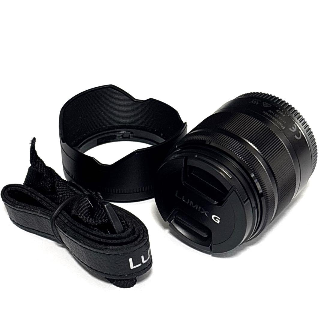 【美品】Panasonic LUMIX DC-GF10 付属品 レンズセット