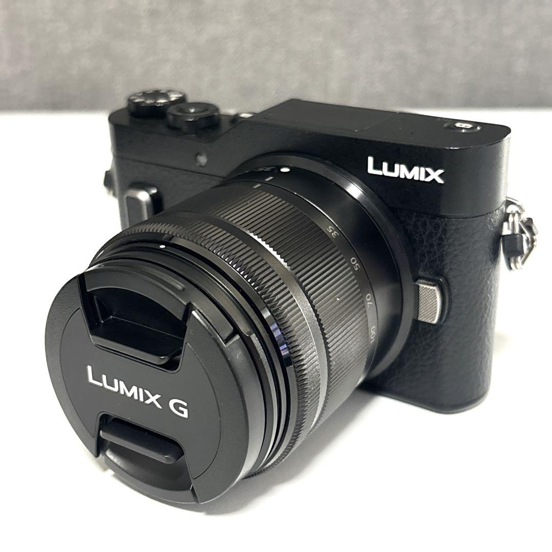 【美品】Panasonic LUMIX DC-GF10 付属品 レンズセット