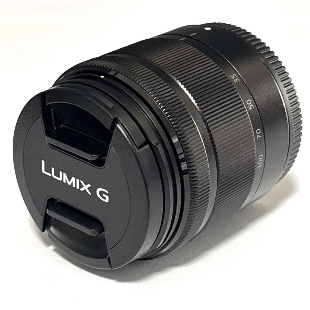 【美品】Panasonic LUMIX DC-GF10 付属品 レンズセット