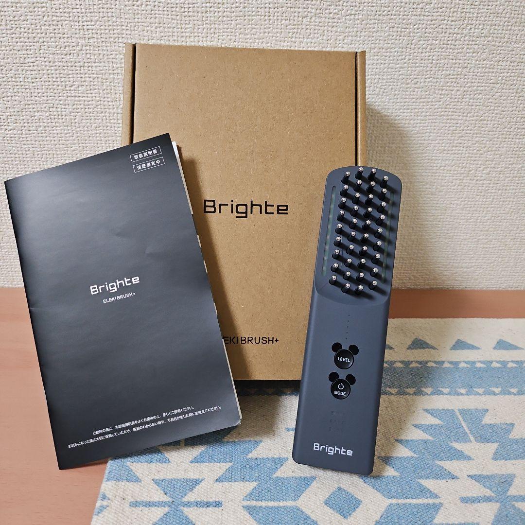 ヨ*ン様 Brighte ELIKBRUSH+ ミッキー