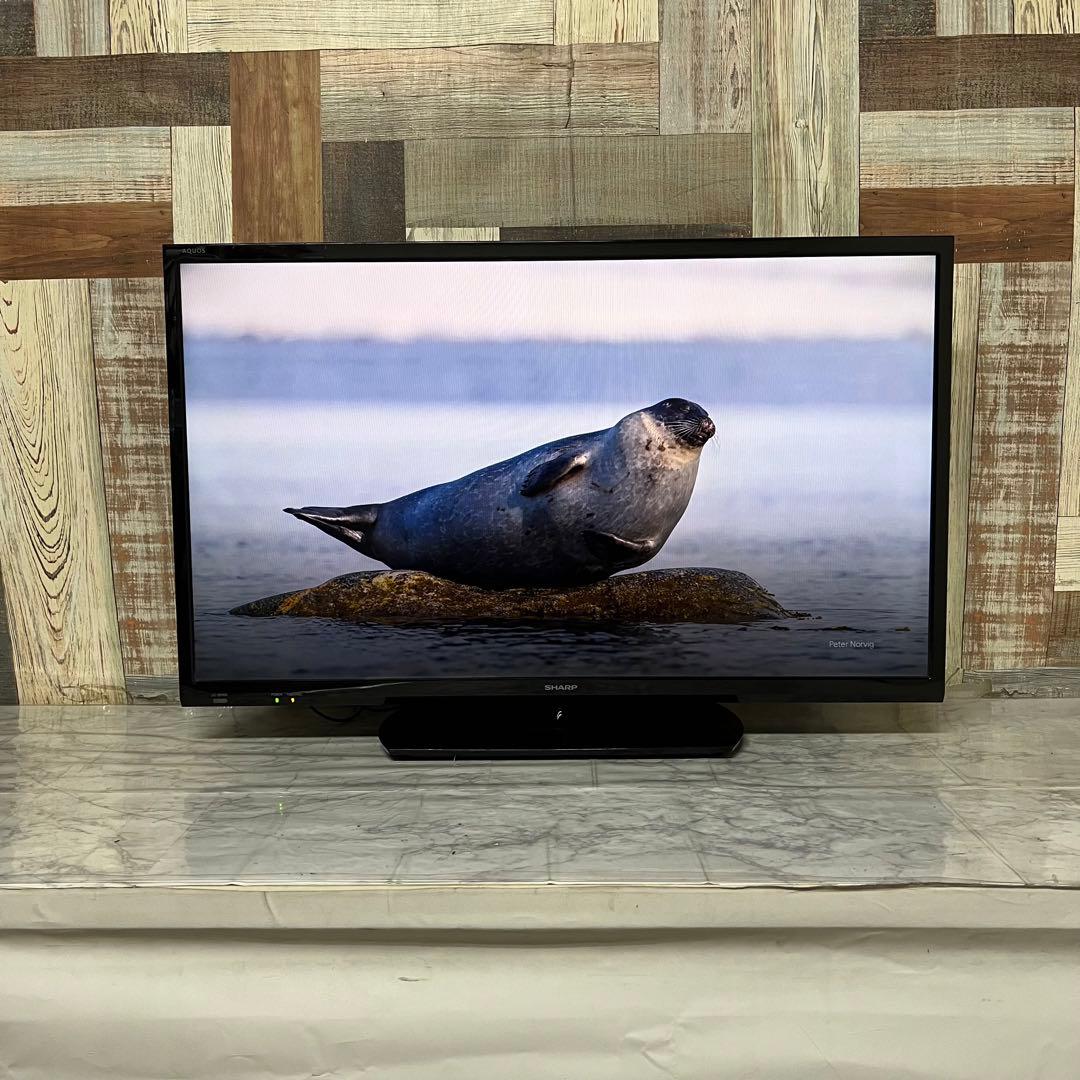 即日受渡❣️全国送料込シャープ32型液晶テレビWチューナー 色鮮やかなクリアな映像