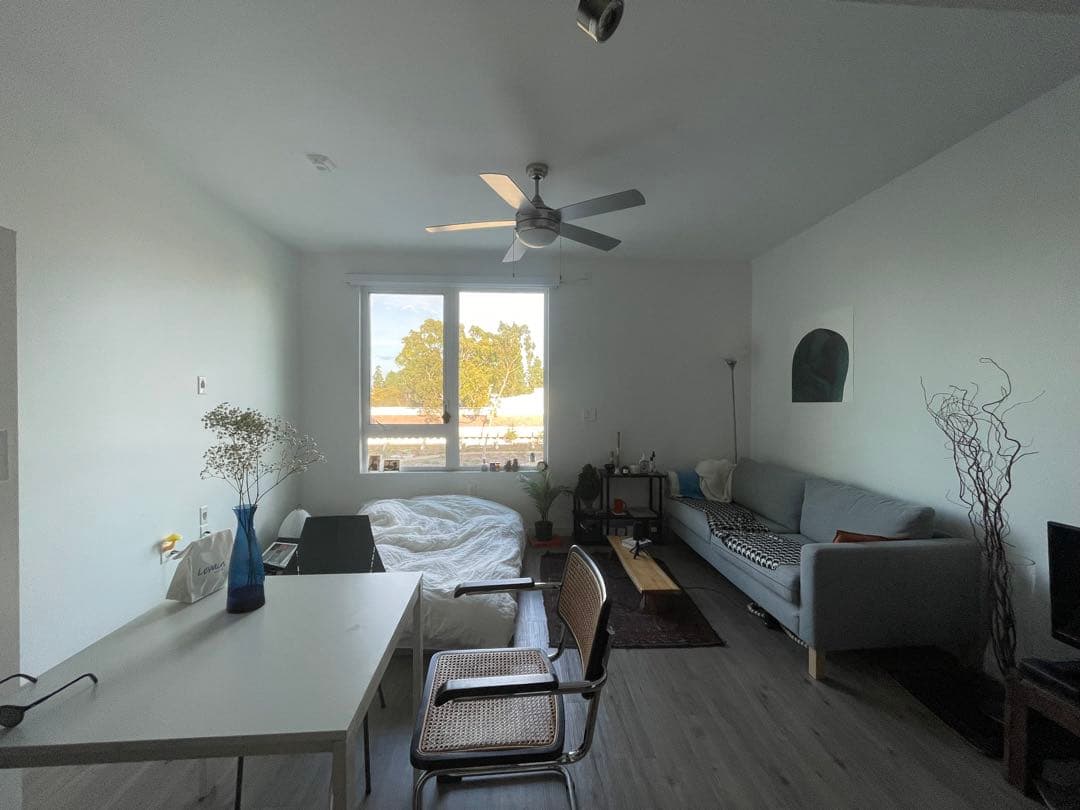 Loomer ラグ　graphpaper 南貴之