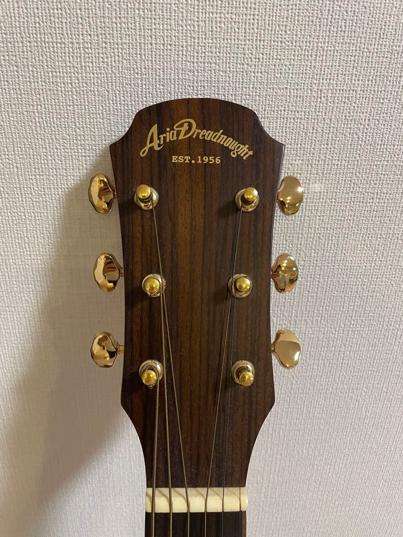 アコースティックギター aria af501