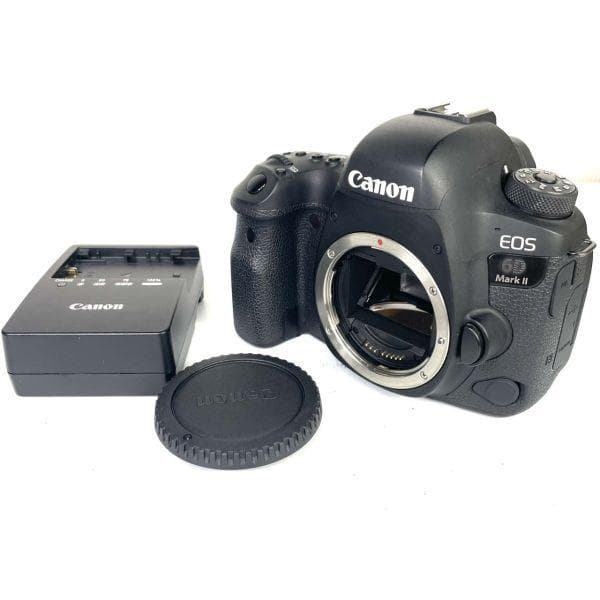 ショット数10106枚■ほぼ新品■ CANON EOS 6D Mark II