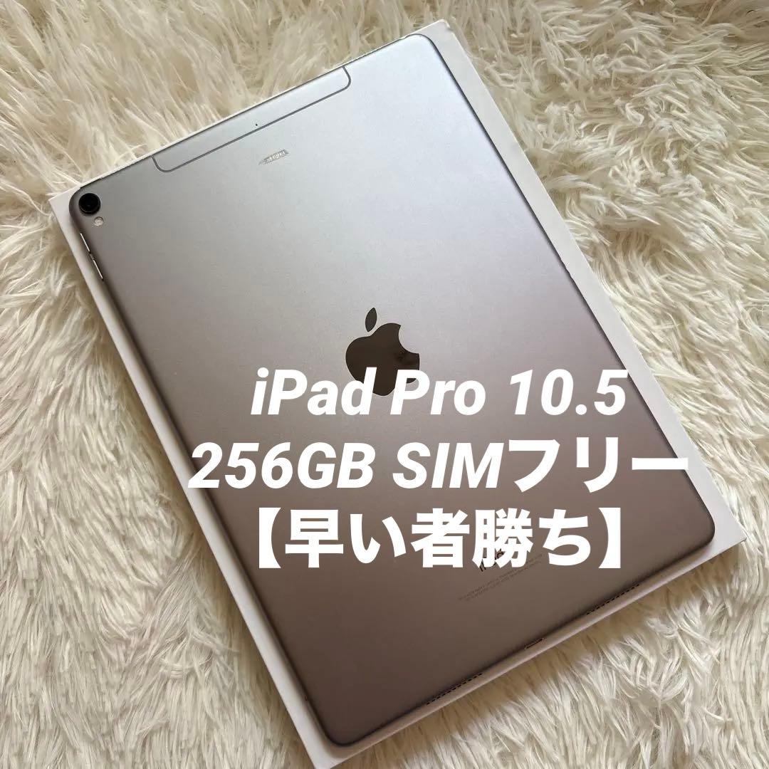 【完動品】iPad Pro 10.5 256GB SIMフリー【すぐ発送】