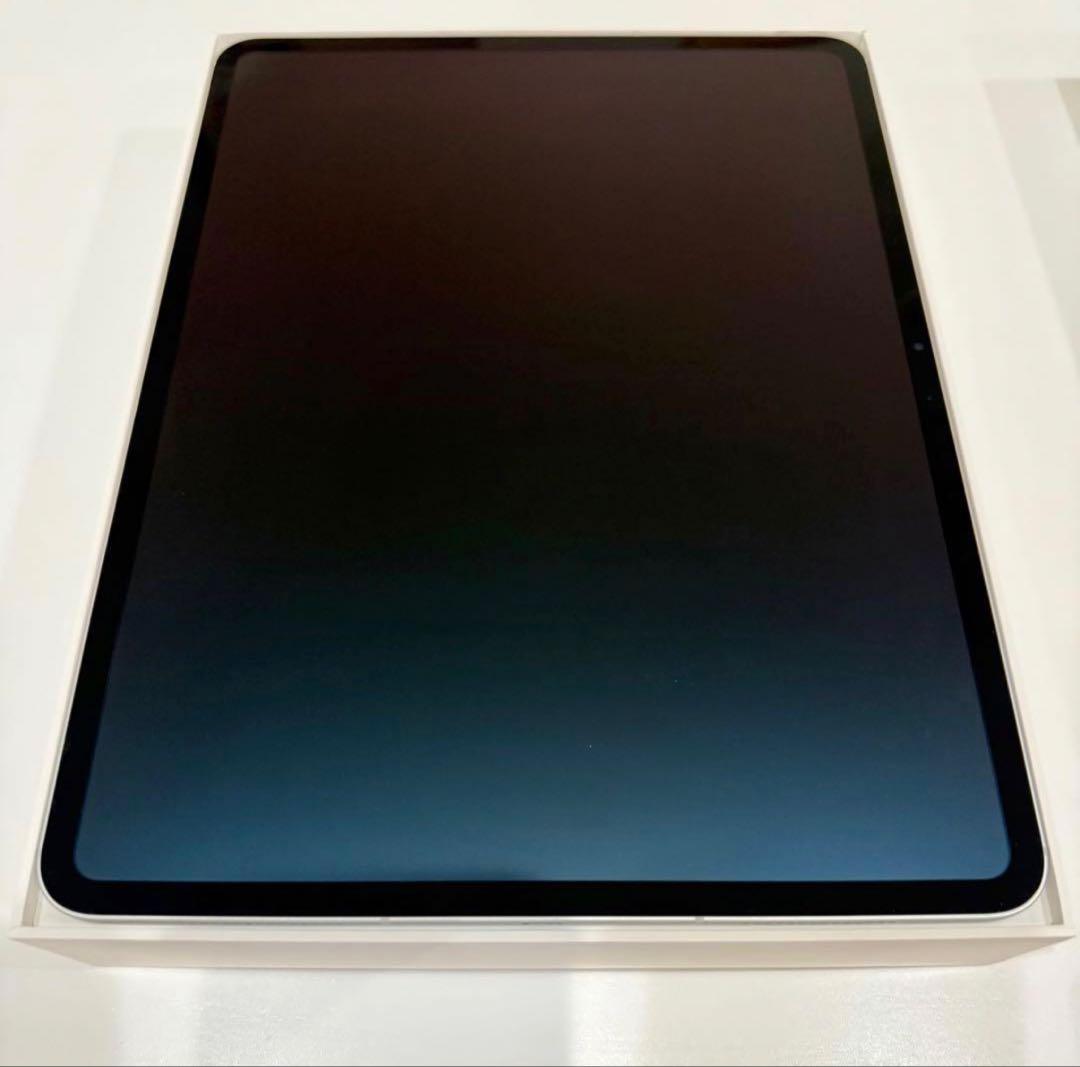 iPad Pro 2024 M4 13インチ 2TB SIMフリー　フルスペック