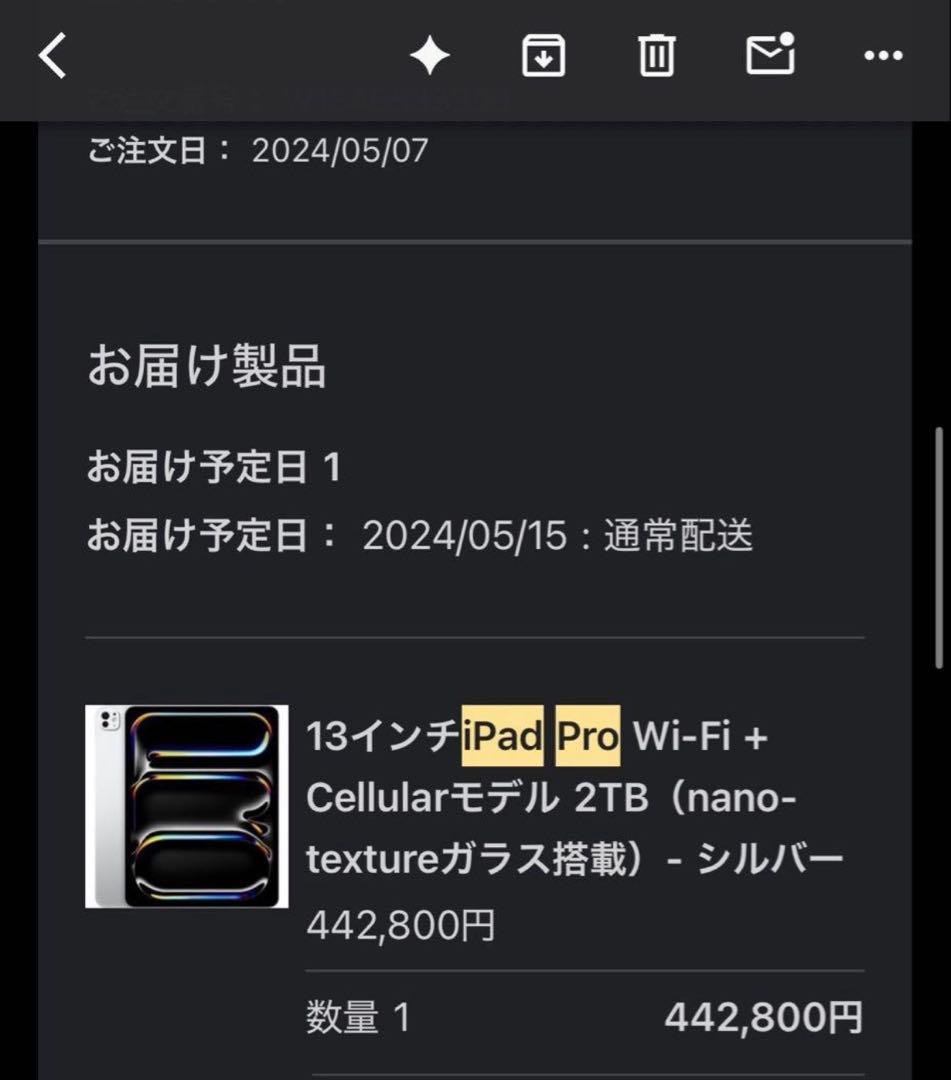 iPad Pro 2024 M4 13インチ 2TB SIMフリー　フルスペック