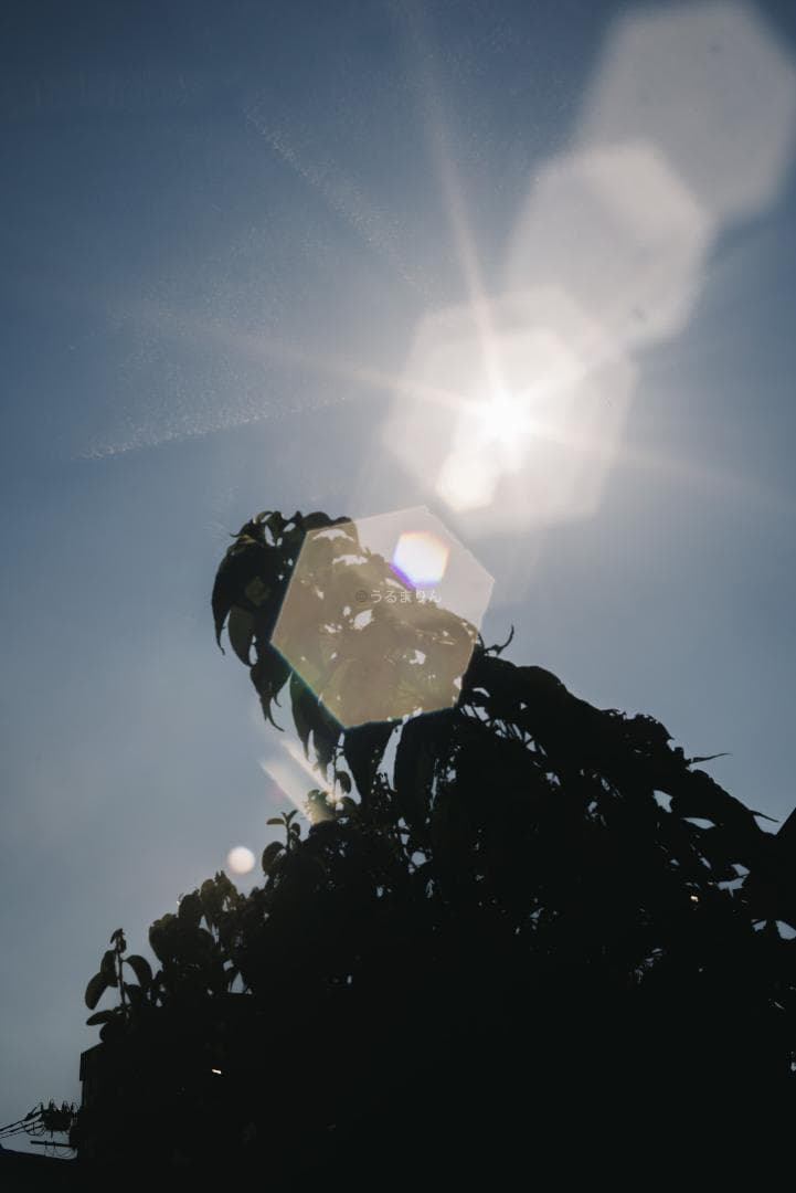 良品！虹の出る癖玉！Leica Summar 50mm f2 オールドレンズ