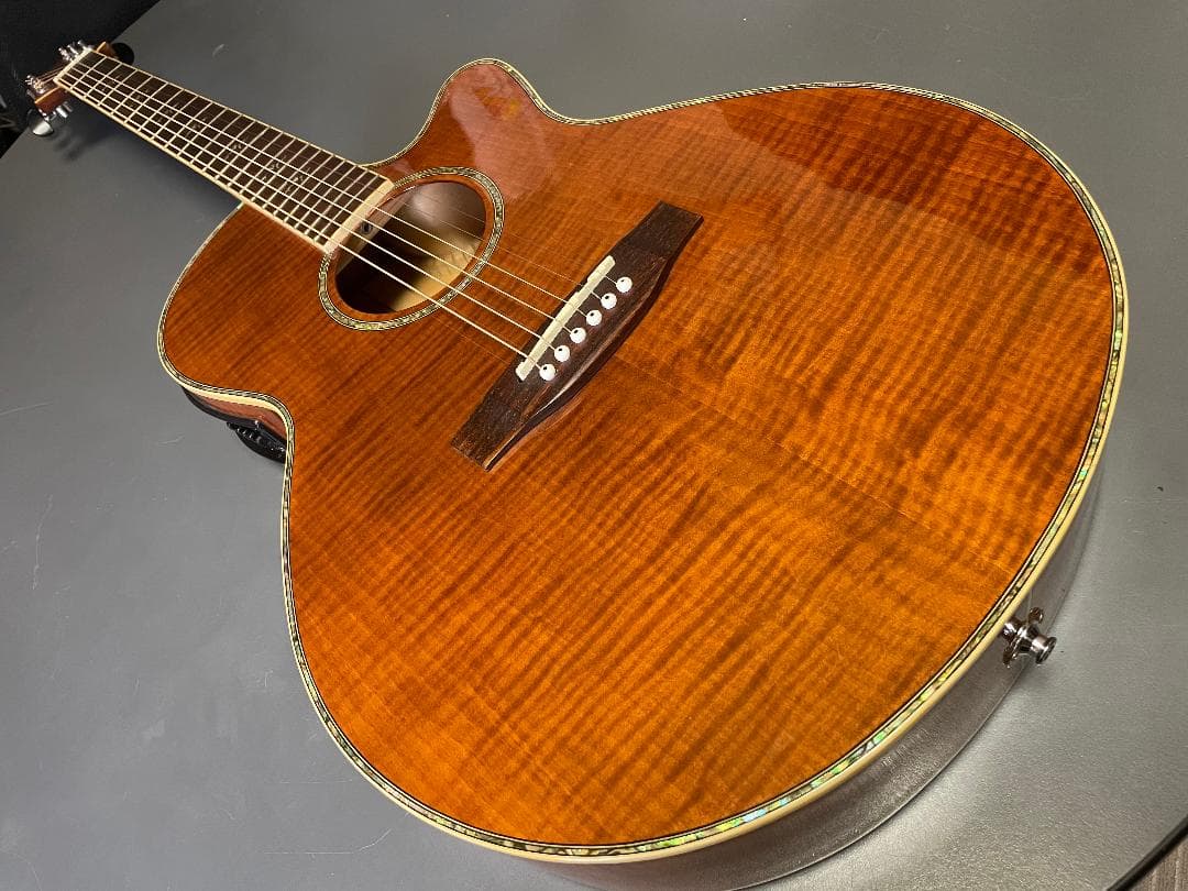 ギター Takamine Cooder TCP-560VB